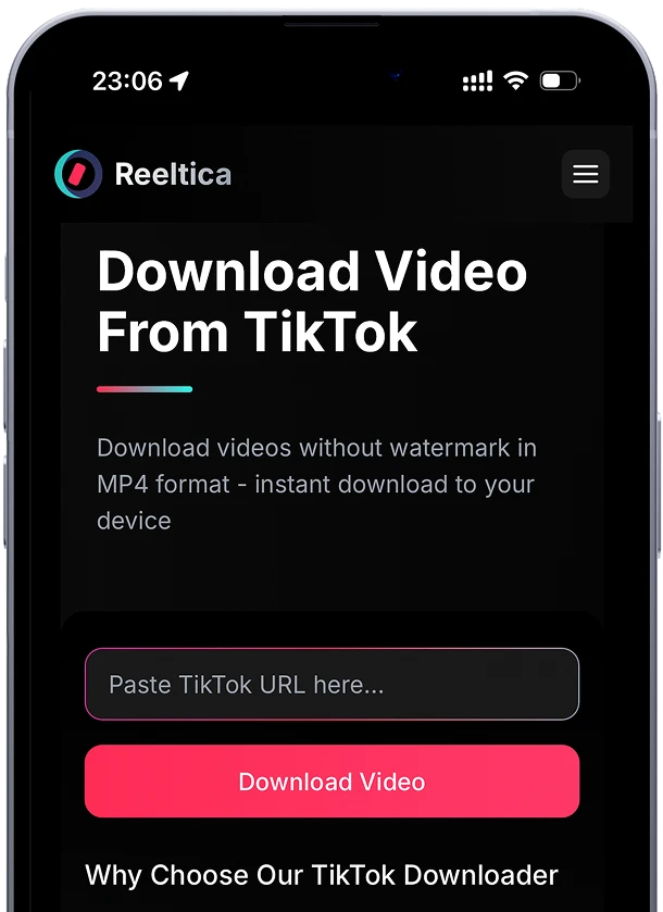 Paste TikTok link